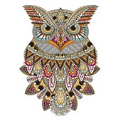 Owl Spirit Guide